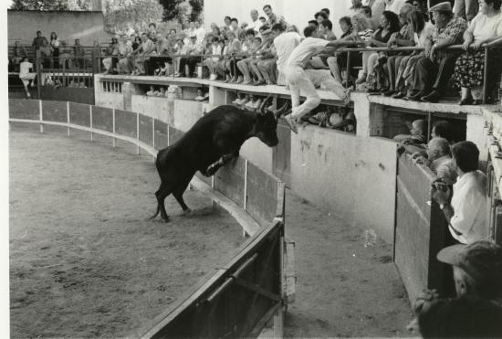 Protection Aout 1999  J . BON (Ph Bruno RAFFIN)