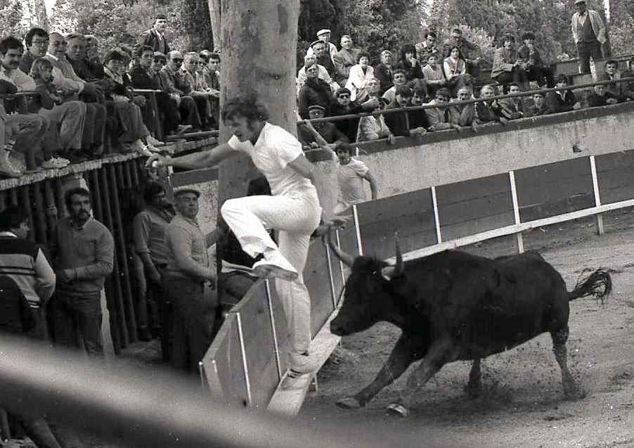 img741
