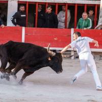 Labrax des beaumelles nicolas desfonds