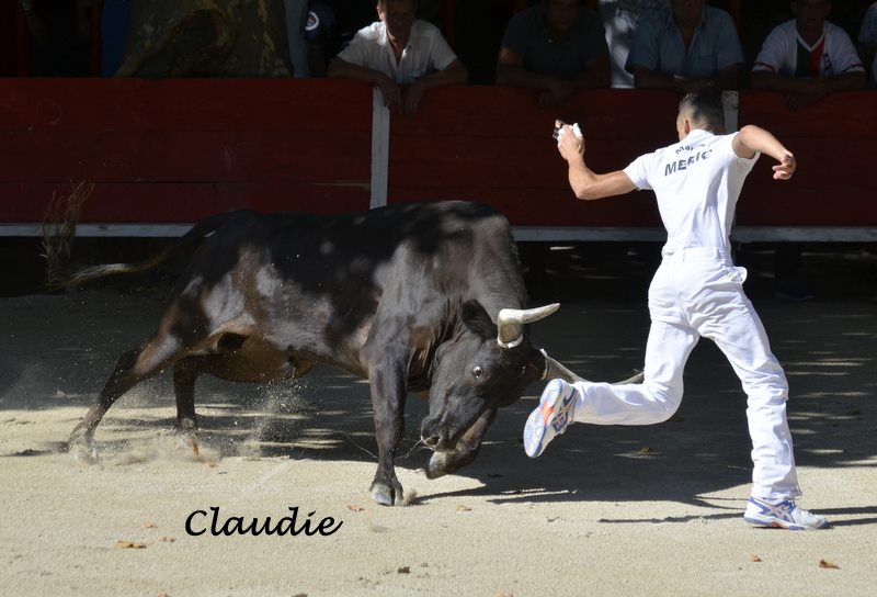 Lou Mazet La galere Marvin Meric 18 08 15 ( Photo CLAUDIE) (800x544)