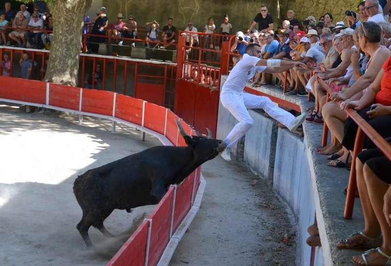 Lou pape d guerero