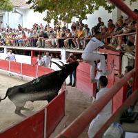 Lou poutoun f guillierme h dunan 