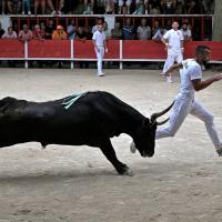 Lou poutoun f guillierme h dunan