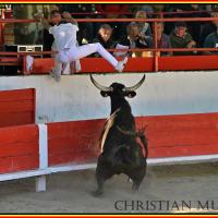 Lou poutoun guillereme l mateo