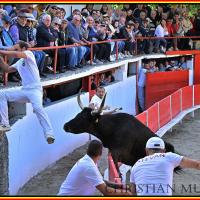 Lou poutoun guillereme r fouque 