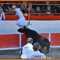 Lou poutoun guillereme r fouque 