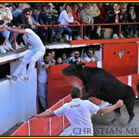 Lou poutoun guillereme r fouque