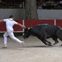 Lou poutoun p laurier