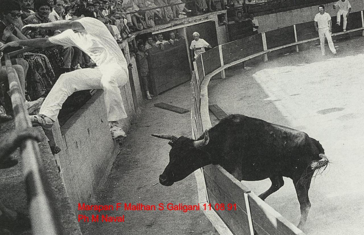 Marapan F Mailhan S Galigani 11 08 91