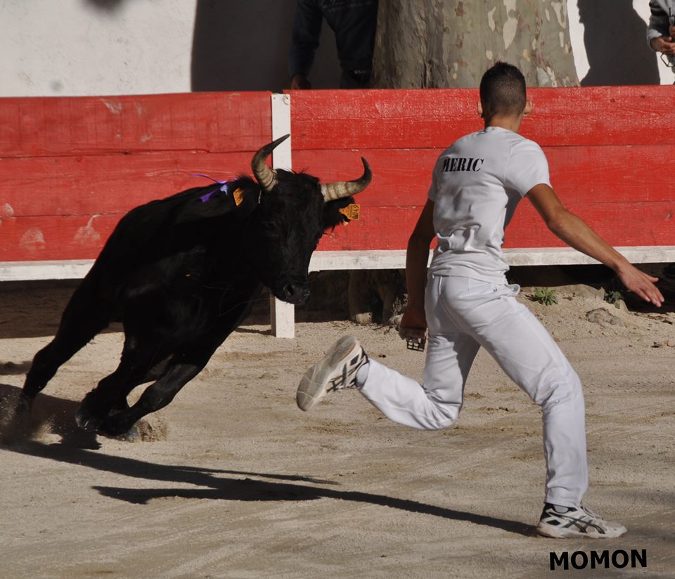 Marvin MERIC 849 de Joncas