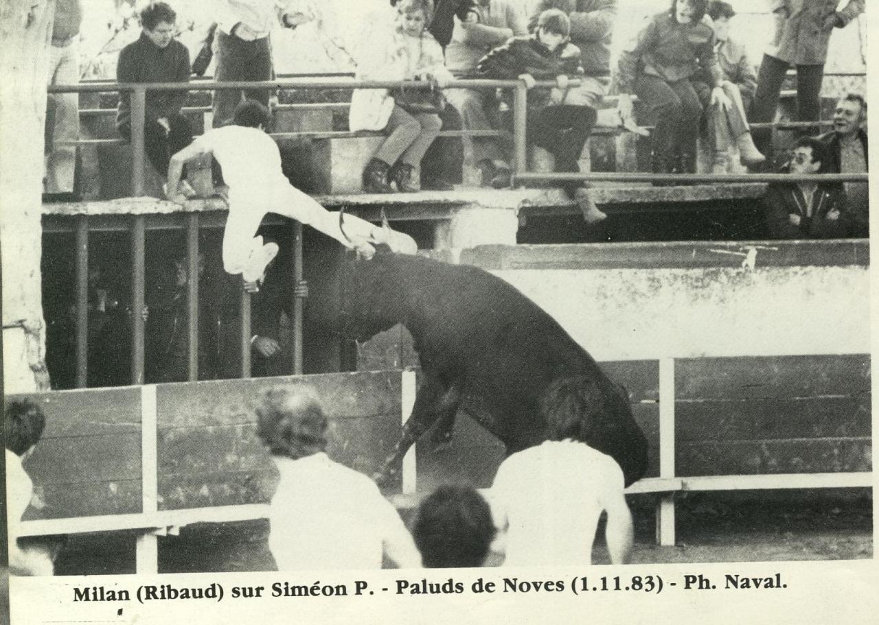 Milan Ribaud P Simeon 01_11_1983