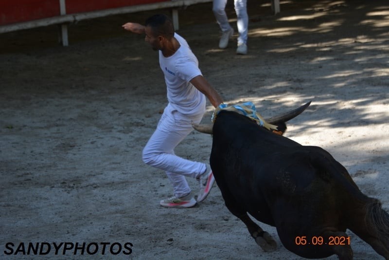 Mirouflet guillerme sur allam