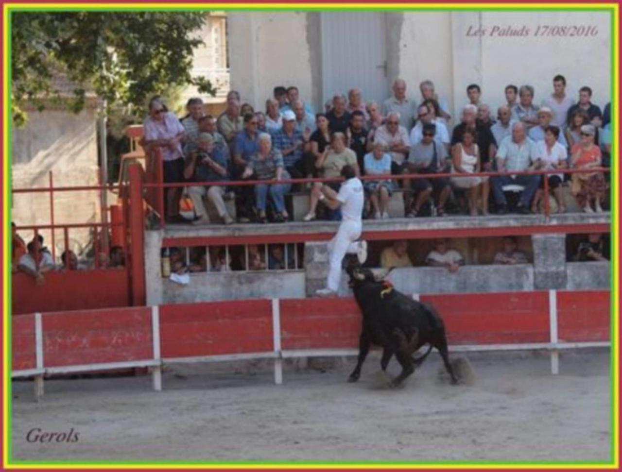 Moka La Galére B Villard 17 08 2010