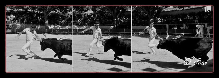 Montage enzo bernard