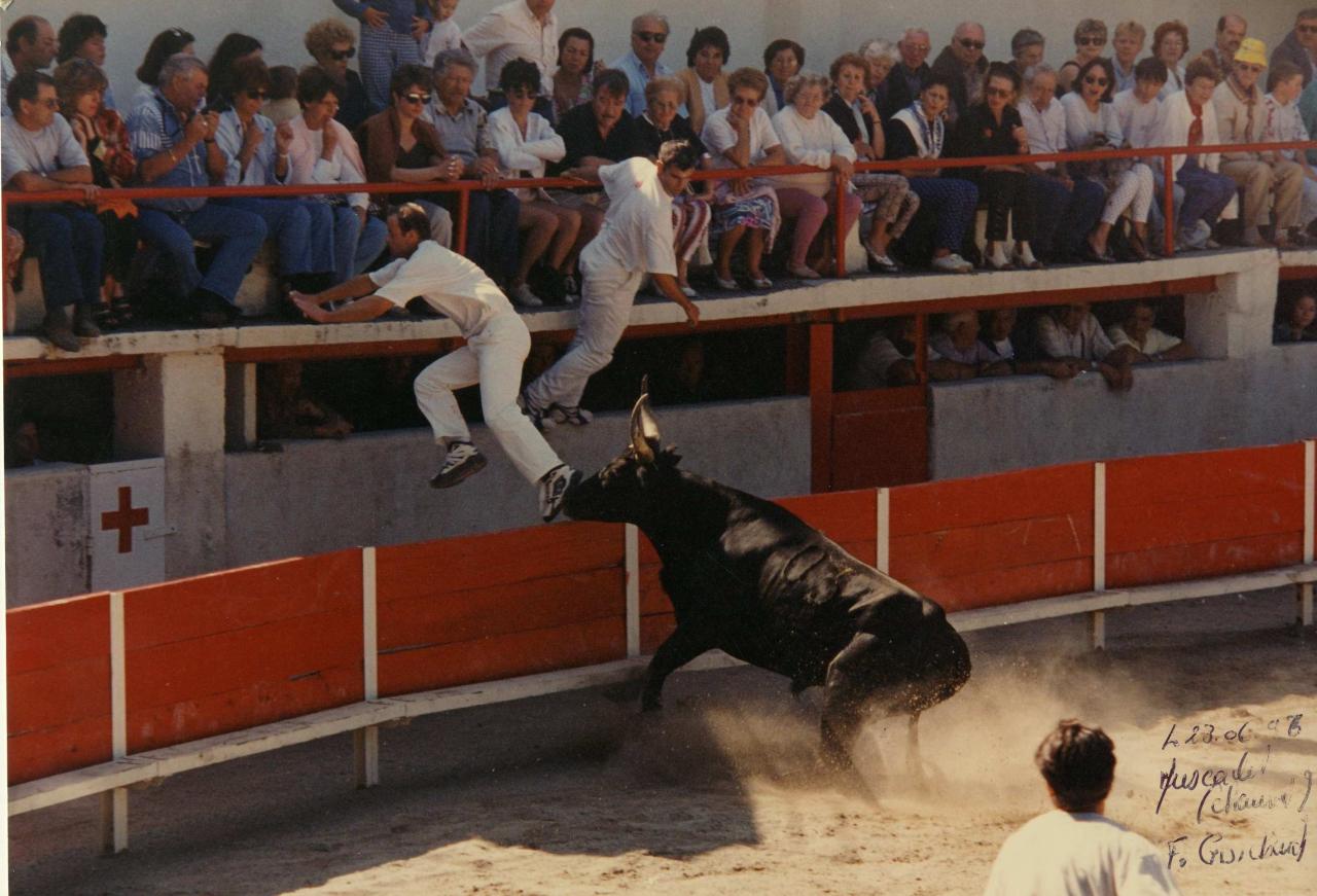 Muscadet R Chauvet F Guichard 23_06_1996 Ph Naval Mourret