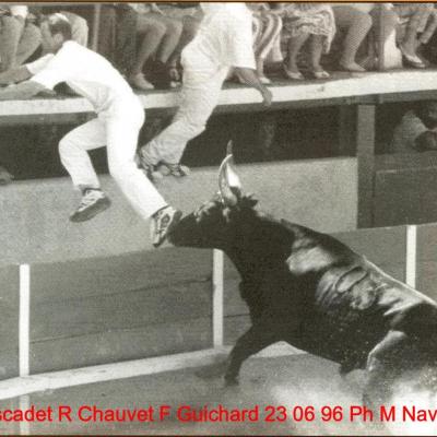 Muscadet R Chauvet F Guichard 23 06 1996