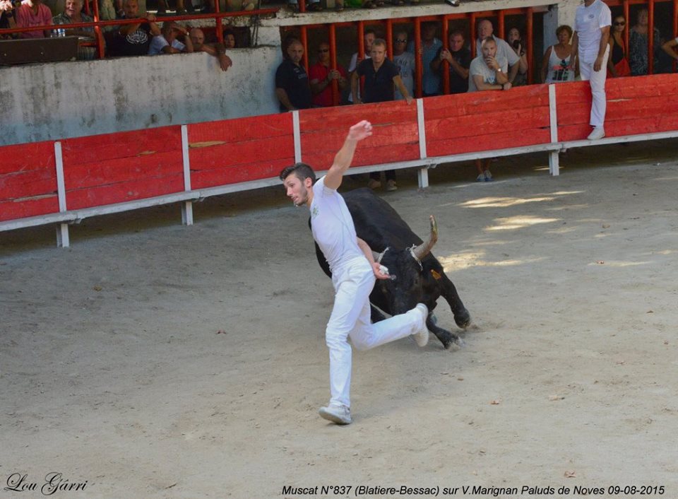 Muscat Blatiere Bessac V Marignan 09-08-15 (2)