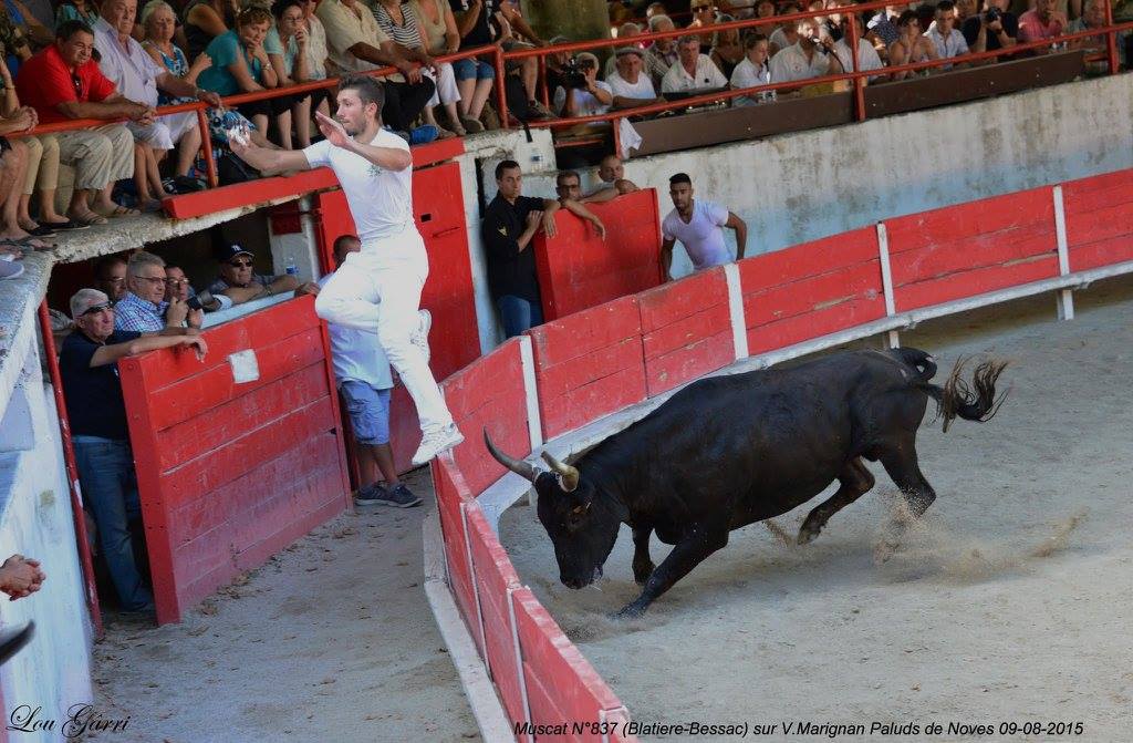 Muscat Blatiere Bessac V Marignan 09-08-15