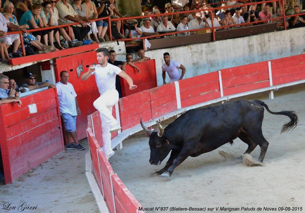Muscat Blatierre Bessac V Marignan 09-08-15