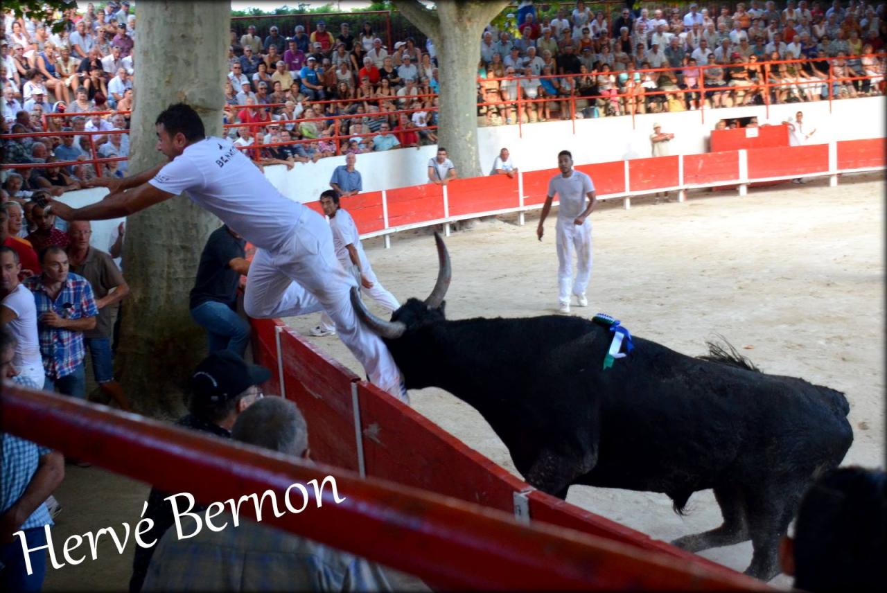 Nectar F Mailhan Nabil Benafitou le 7 09 2014