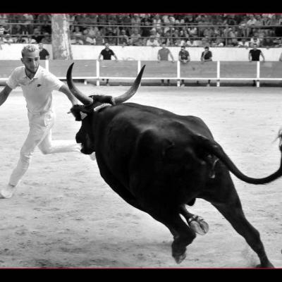 Photos & comptes rendus des courses