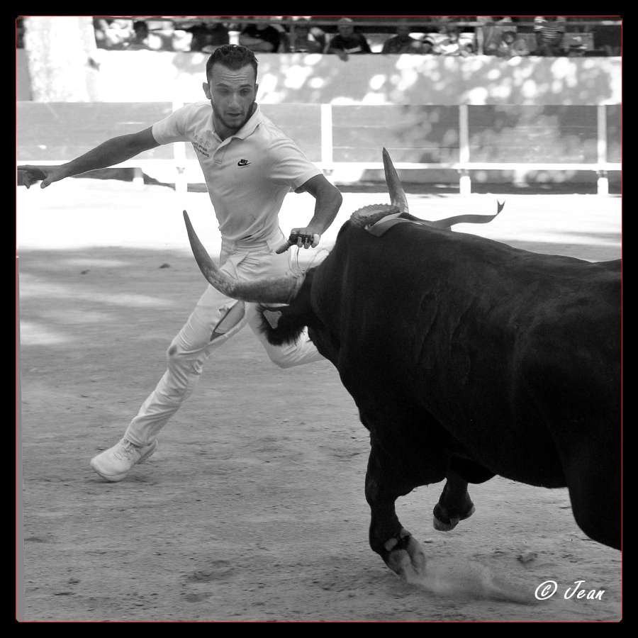 Nicolas desfonds