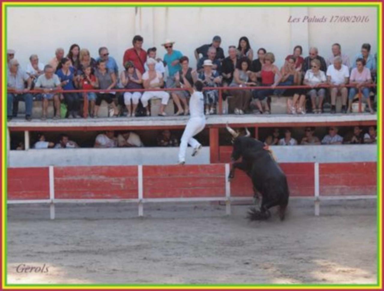 Oscar La Galére A Chekade 17 08 2010