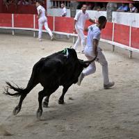 Palerme f mailhan h dunan