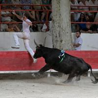 Palerme f mailhan r fouque 