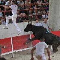 Palerme f mailhan r fouque