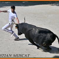 Panga didelot langlade e bernard