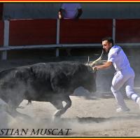 Panga didelot langlade n desfonds