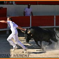 Panga didelot langlade r fouque 