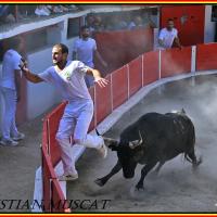 Panga didelot langlade r fouque