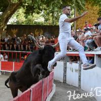 Pastaga de mejanes hedi chebaki