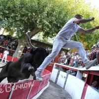 Pastaga manade de mejanes