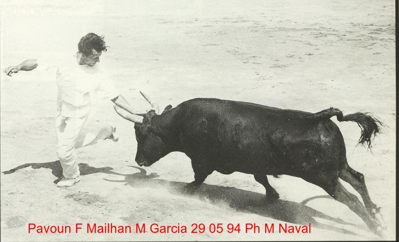 Pavoun F Mailhan M Garcia 29 05 1994