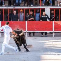 Perceval nicollin quentin ayme