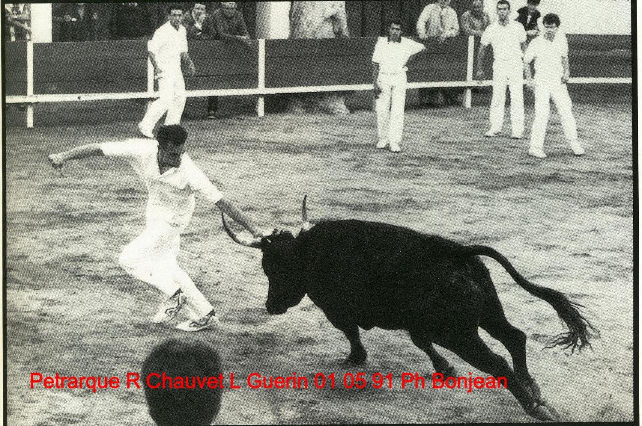Petrarque R Chauvet L Guerin 01 05 1991