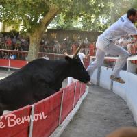 Porto didelot langlade romain fouque 