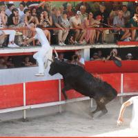 Porto didelot langlade romain fouque