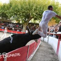 Radon cuille romain fouque