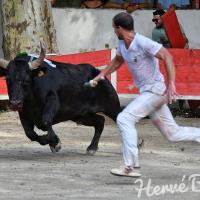 Radon cuille romain fouque