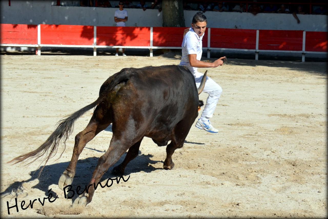 Rodrigue ORTIZ 19 Aout 2014 les Paluds