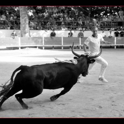 Photos & comptes rendus des courses