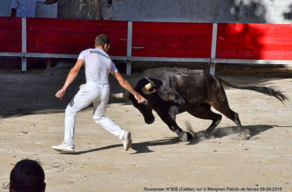 Ruscassier Caillan V Marignan 09-08-15