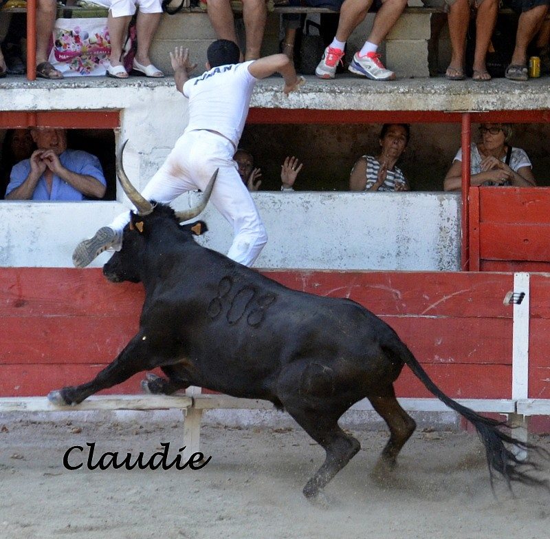 Ruscassier CAILLAN1  S DUNAN 09 08 15