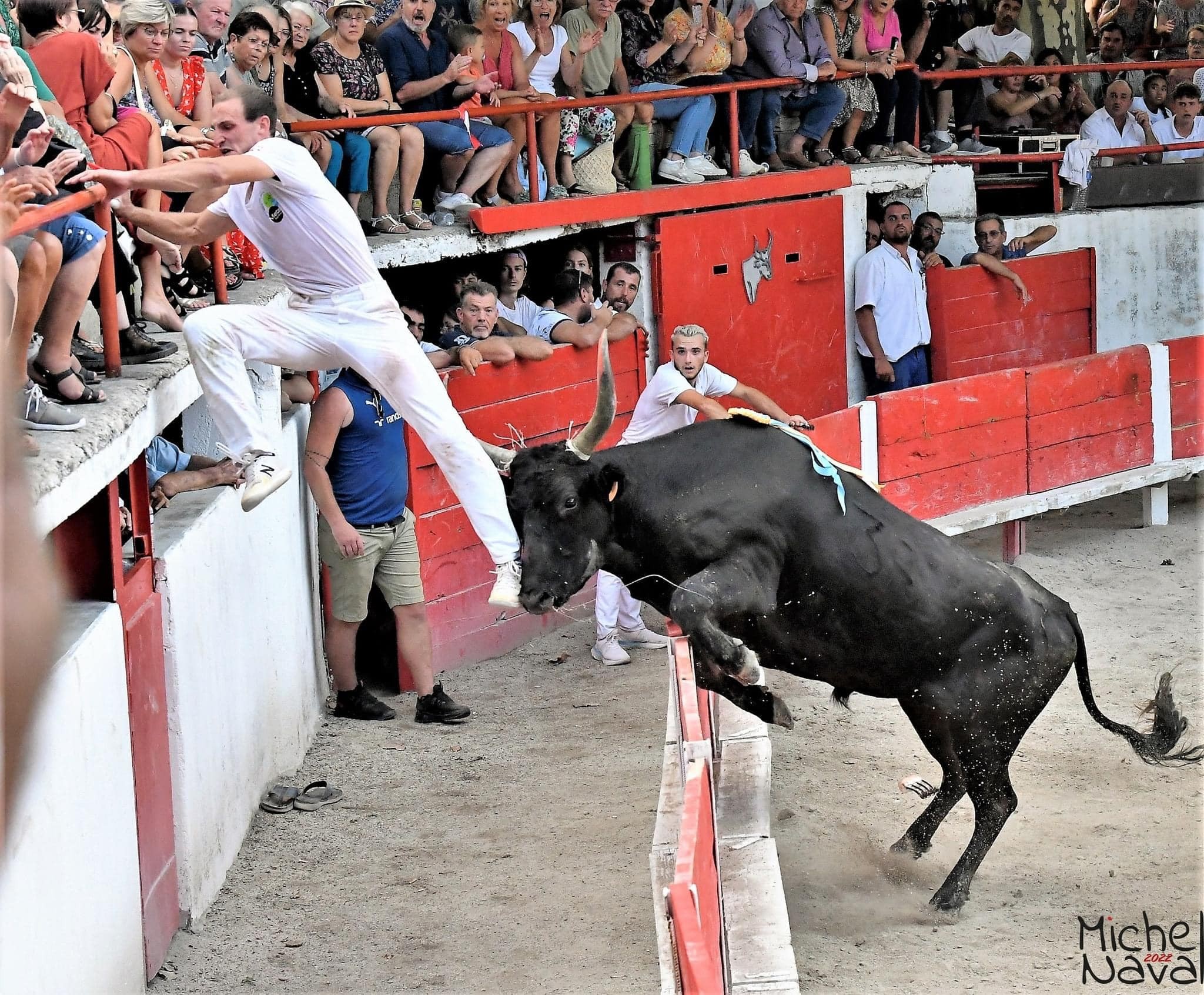 Souquet f guillerme r fouque 1