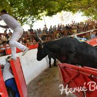 Souquet guillierme romain fouque