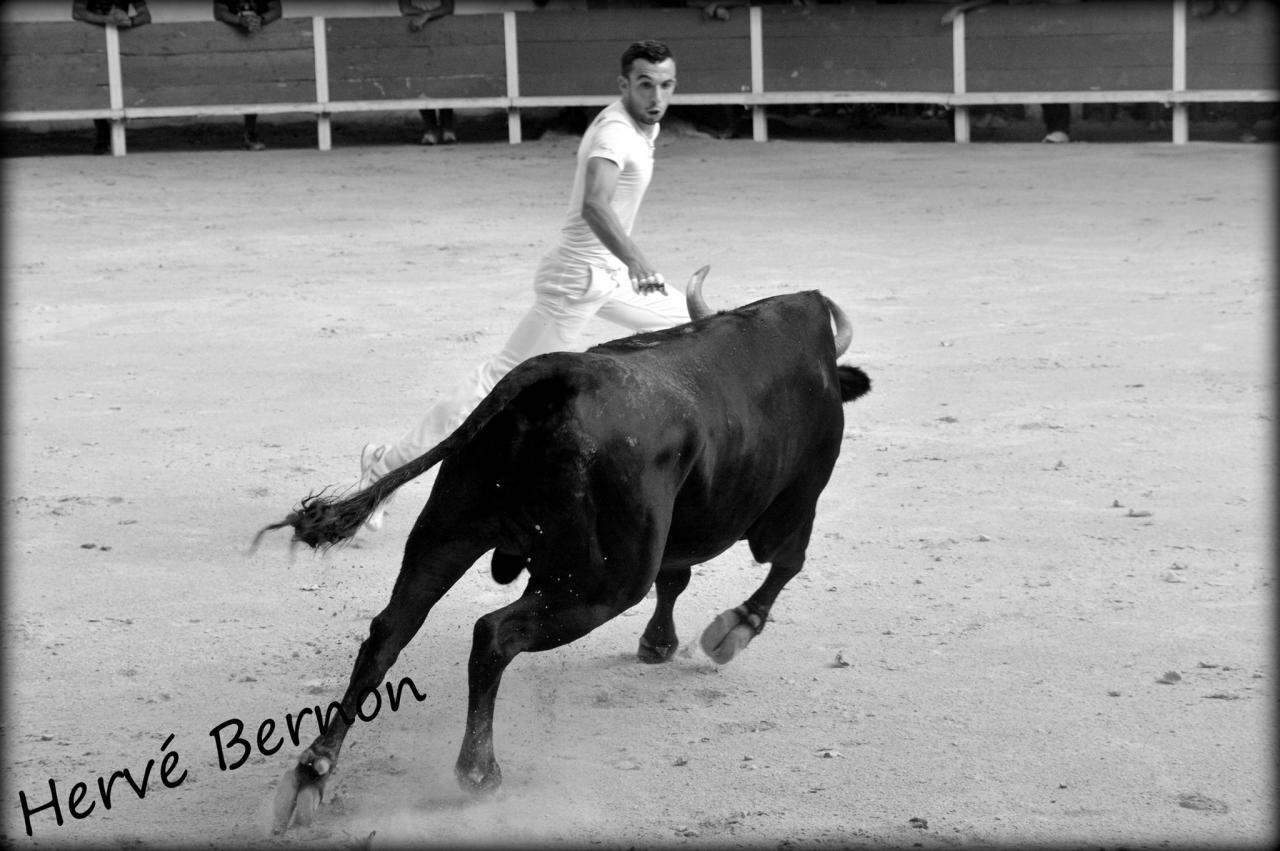 Stephane Dunan 09-08-15